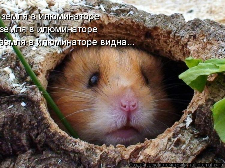 земля в илюминаторе земля в илюминаторе земля в илюминаторе видна...... Котоматрица: земля в илюминаторе земля в илюминаторе земля в илюминаторе видна...