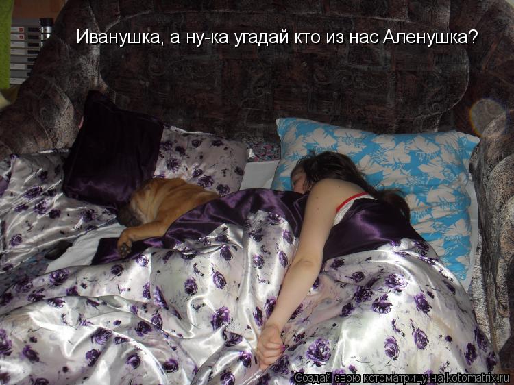 Иванушка, а ну-ка угадай кто из нас Аленушка?... Котоматрица: Иванушка, а ну-ка угадай кто из нас Аленушка?