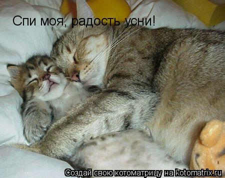 Котоматрица: Спи моя, радость усни!