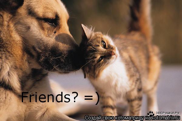 Friends? =)... Котоматрица: Friends? =)