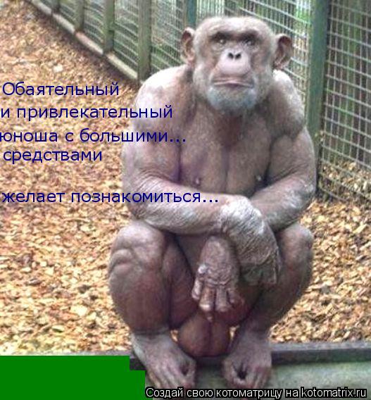 Котоматрица: Обаятельный  и привлекательный юноша с большими... средствами желает познакомиться...