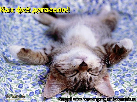 Как фсё дотааало! Как фсё дотааало!... Котоматрица: Как фсё дотааало! Как фсё дотааало!