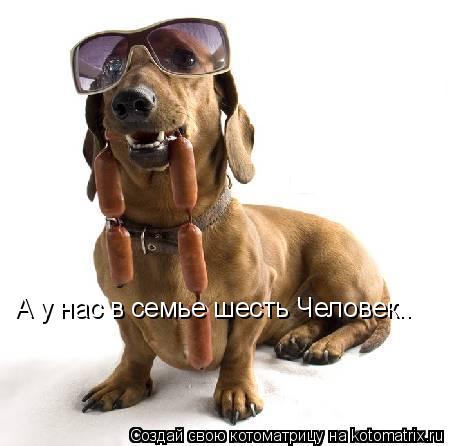 А у нас в семье шесть Человек..... Котоматрица: А у нас в семье шесть Человек..