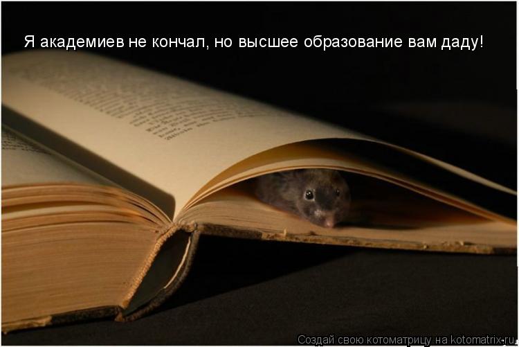 Я академиев не кончал, но высшее образование вам даду!... Котоматрица: Я академиев не кончал, но высшее образование вам даду!