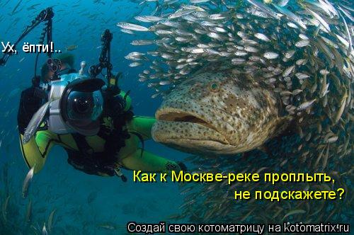 Как к Москве-реке проплыть, не подскажете? Ух, ёпти!..... Котоматрица: Как к Москве-реке проплыть, не подскажете? Ух, ёпти!..