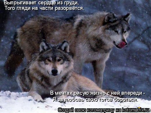 Выпрыгивает сердце из груди, Того гляди на части разорвётся. В мечтах рисую жизнь с ней впереди - ... Котоматрица: Выпрыгивает сердце из груди, Того гляди на части разорвётся. В мечтах рисую жизнь с ней впереди - Я за любовь свою готов бороться.