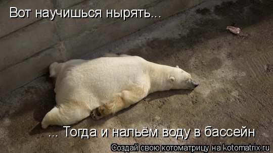 Вот научишься нырять... ... Тогда и нальём воду в бассейн... Котоматрица: Вот научишься нырять... ... Тогда и нальём воду в бассейн