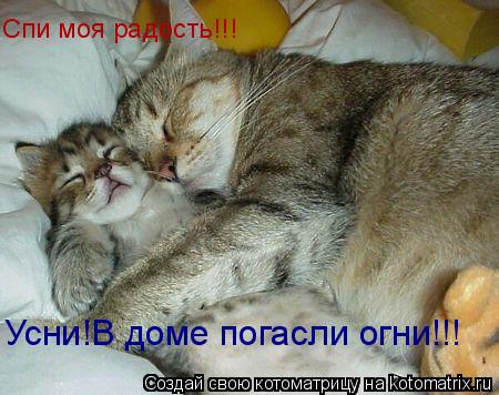 Спи моя радость!!! Усни!В доме погасли огни!!!... Котоматрица: Спи моя радость!!! Усни!В доме погасли огни!!!