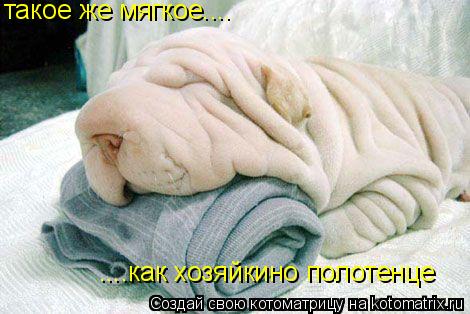 такое же мягкое.... ....как хозяйкино полотенце... Котоматрица: такое же мягкое.... ....как хозяйкино полотенце