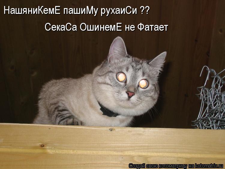 Котоматрица: НашяниКемЕ пашиМу рухаиСи ??  СекаСа ОшинемЕ не Фатает