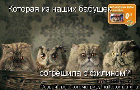 Которая из наших бабушек согрешила с филином?!... Котоматрица: Которая из наших бабушек согрешила с филином?!