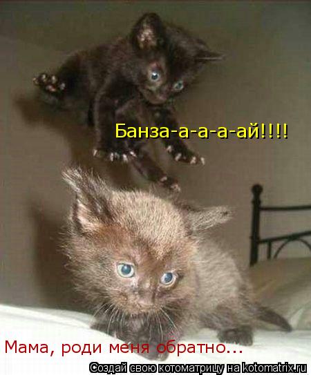 Котоматрица: Банза-а-а-а-ай!!!! Мама, роди меня обратно...