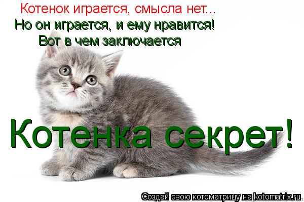 Котенок играется, смысла нет... Но он играется, и ему нравится! Вот в чем заключается Котенка секрет... Котоматрица: Котенок играется, смысла нет... Но он играется, и ему нравится! Вот в чем заключается Котенка секрет!