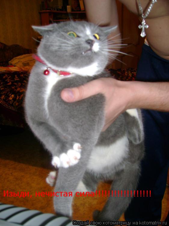 Котоматрица: Изыди, нечистая сила!!!!!!!!!!!!!!!!!!