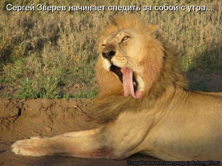Сергей Зверев начинает следить за собой с утра...... Котоматрица: Сергей Зверев начинает следить за собой с утра...