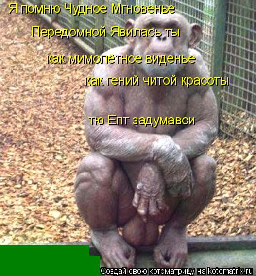 Я помню Чудное Мгновенье Передомной Явилась ты как мимолётное виденье как гений читой красоты тю Епт... Котоматрица: Я помню Чудное Мгновенье Передомной Явилась ты как мимолётное виденье как гений читой красоты тю Епт задумавси