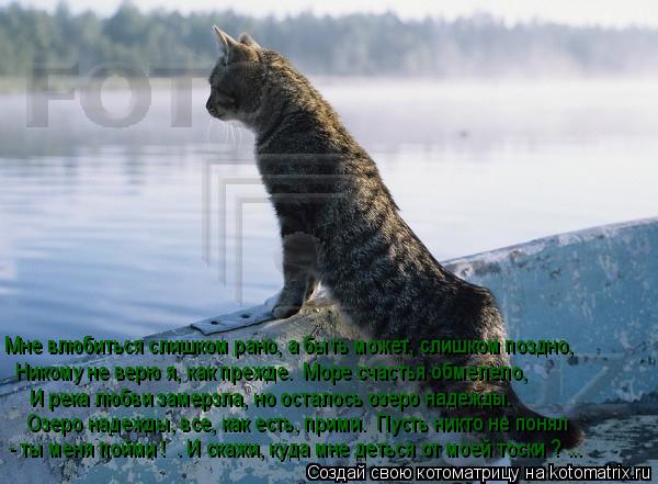 Котоматрица: Мне влюбиться слишком рано, а быть может, слишком поздно, Никому не верю я, как прежде.  Море счастья обмелело, И река любви замерзла, но остал