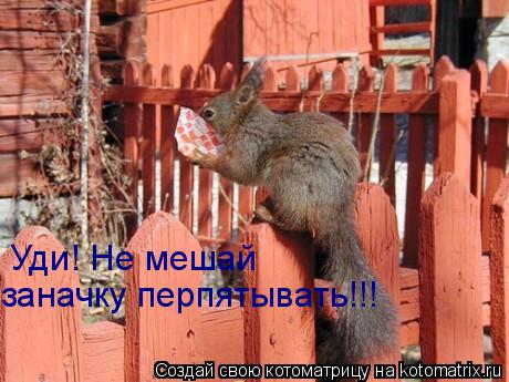 Котоматрица: Уди! Не мешай заначку перпятывать!!!