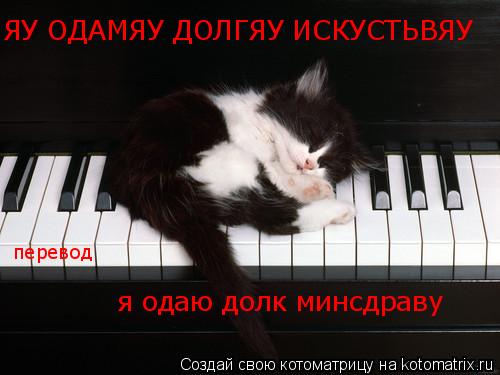 Котоматрица: ЯУ ОДАМЯУ ДОЛГЯУ ИСКУСТЬВЯУ перевод я одаю долк минсдраву