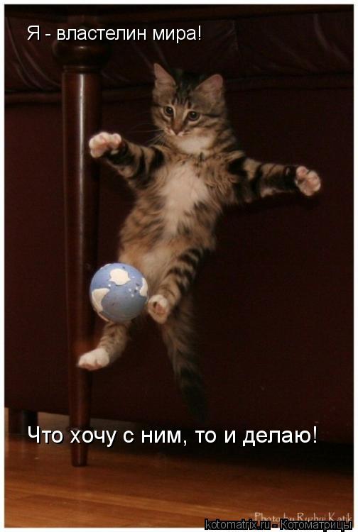 Я - властелин мира! Что хочу с ним, то и делаю!... Котоматрица: Я - властелин мира! Что хочу с ним, то и делаю!