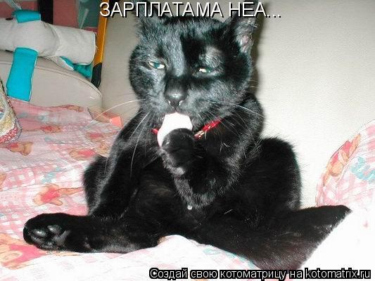 Котоматрица: ЗАРПЛАТАМА НЕА...