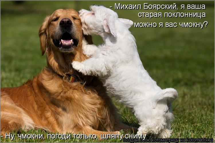 - Михаил Боярский, я ваша старая поклонница можно я вас чмокну? - Ну, чмокни, погоди только, шляпу с... Котоматрица: - Михаил Боярский, я ваша старая поклонница можно я вас чмокну? - Ну, чмокни, погоди только, шляпу сниму
