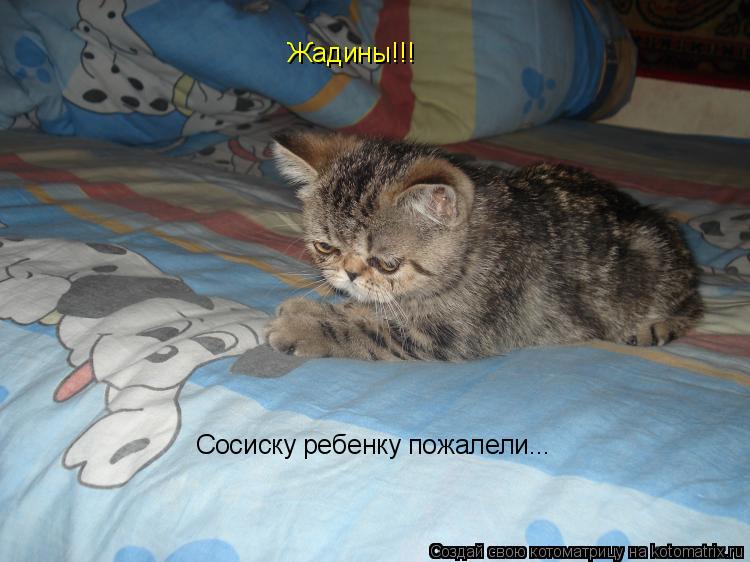 Жадины!!! Сосиску ребенку пожалели...... Котоматрица: Жадины!!! Сосиску ребенку пожалели...