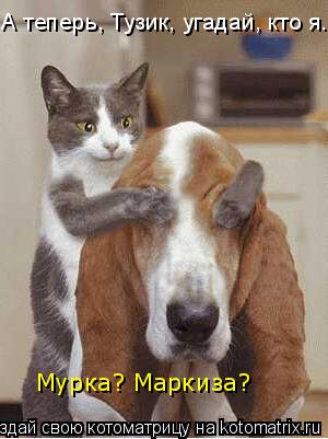 Котоматрица: А теперь, Тузик, угадай, кто я... Мурка? Маркиза?