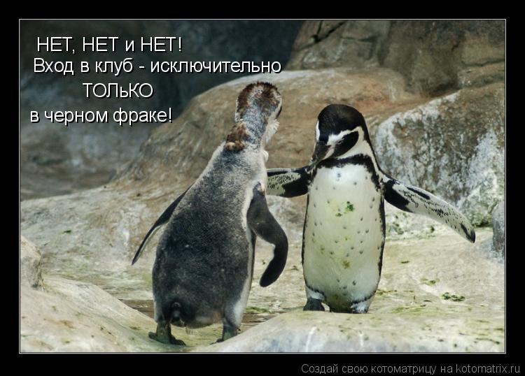 Котоматрица: НЕТ, НЕТ и НЕТ! Вход в клуб - исключительно ТОЛьКО  в черном фраке!