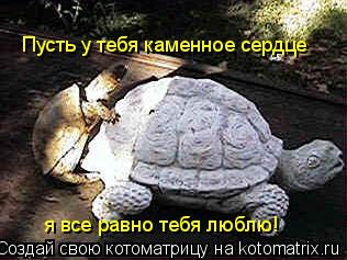 Котоматрица: Пусть у тебя каменное сердце я все равно тебя люблю!