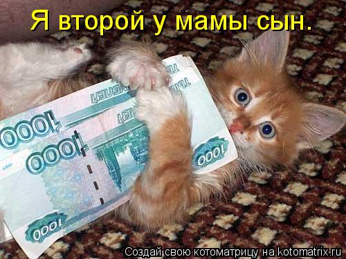 Котоматрица: Я второй у мамы сын.