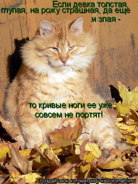 Котоматрица: Если девка толстая, глупая, на рожу страшная, да еще  и злая -  то кривые ноги ее уже совсем не портят!