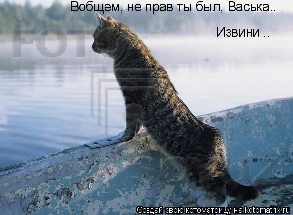 Котоматрица: Вобщем, не прав ты был, Васька..  Извини ..