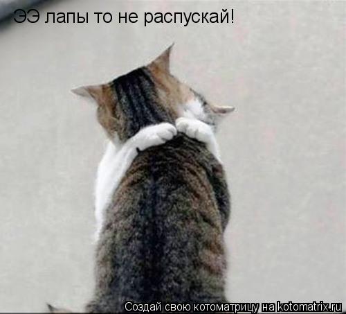 Котоматрица: ЭЭ лапы то не распускай!