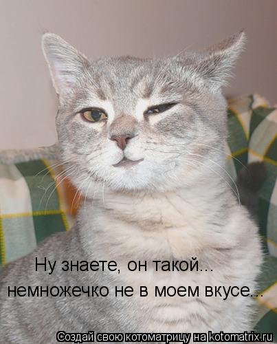 Котоматрица: Ну знаете, он такой...  немножечко не в моем вкусе...