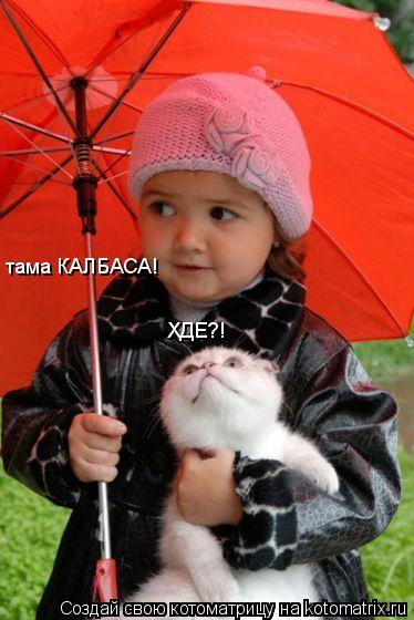 Котоматрица: тама КАЛБАСА! ХДЕ?!