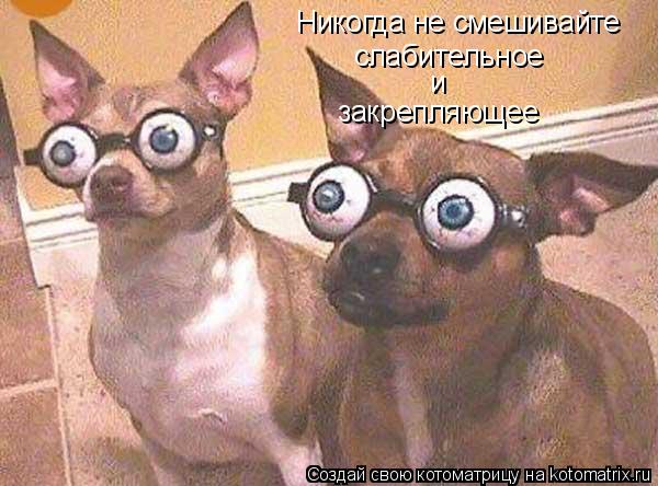 Никогда не смешивайте слабительное и закрепляющее... Котоматрица: Никогда не смешивайте слабительное и закрепляющее
