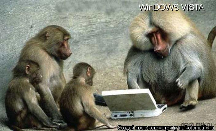 WinDOWS VISTA... Котоматрица: WinDOWS VISTA