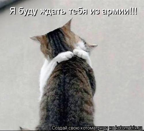 Котоматрица: Я буду ждать тебя из армии!!!