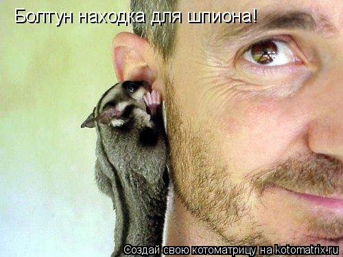 Котоматрица: Болтун находка для шпиона!