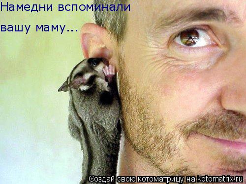 Котоматрица: Намедни вспоминали  вашу маму...