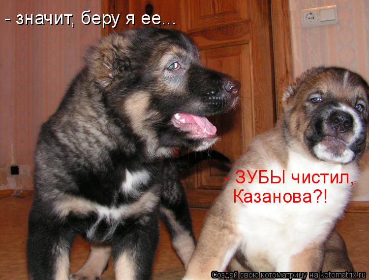 - значит, беру я ее... - ЗУБЫ чистил, Казанова?!... Котоматрица: - значит, беру я ее... - ЗУБЫ чистил, Казанова?!