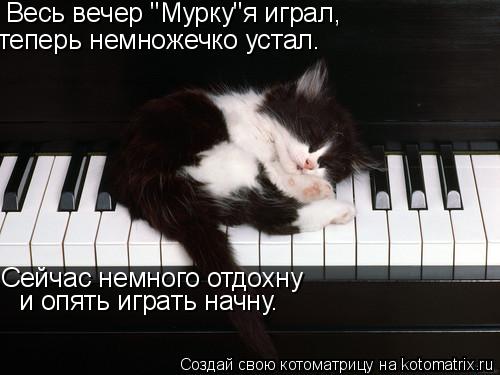 Котоматрица: Весь вечер "Мурку"я играл, теперь немножечко устал. Сейчас немного отдохну и опять играть начну.