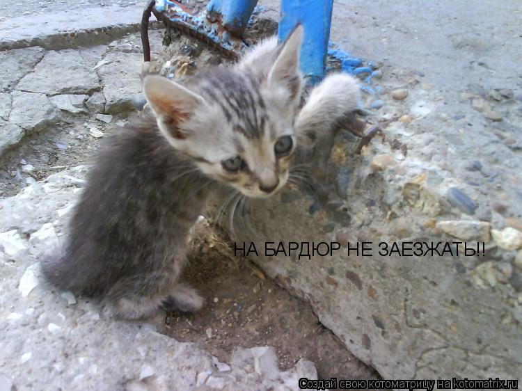 Котоматрица: НА БАРДЮР НЕ ЗАЕЗЖАТЬ!!