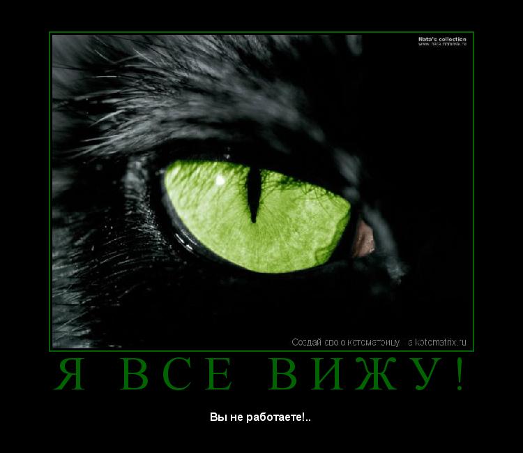 Котоматрица: Я   В С Е   В И Ж У ! 