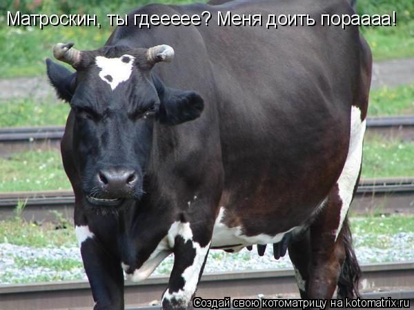 Котоматрица: Матроскин, ты гдеееее? Меня доить пораааа!