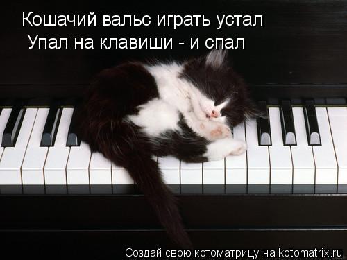 Кошачий вальс играть устал Упал на клавиши - и спал... Котоматрица: Кошачий вальс играть устал Упал на клавиши - и спал