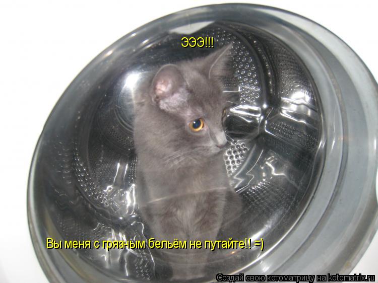 Котоматрица: ЭЭЭ!!! Вы меня с грязным бельём не путайте!! =)