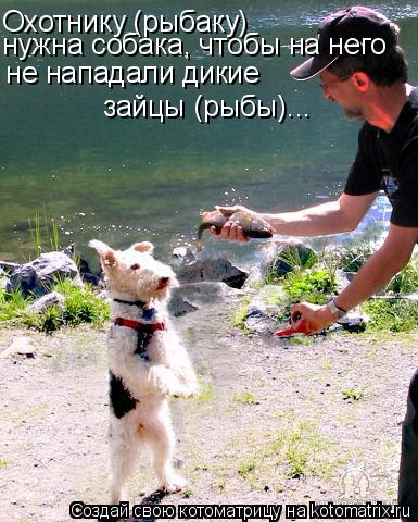 Охотнику (рыбаку) нужна собака, чтобы на него не нападали дикие зайцы (рыбы)...... Котоматрица: Охотнику (рыбаку) нужна собака, чтобы на него не нападали дикие зайцы (рыбы)...
