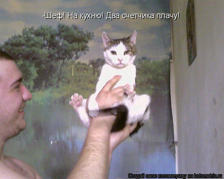 -Шеф! На кухню! Два счетчика плачу!... Котоматрица: -Шеф! На кухню! Два счетчика плачу!
